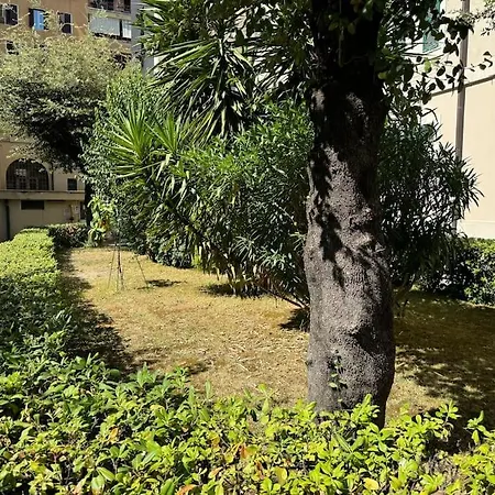 Casa Gigi al Vaticano-2